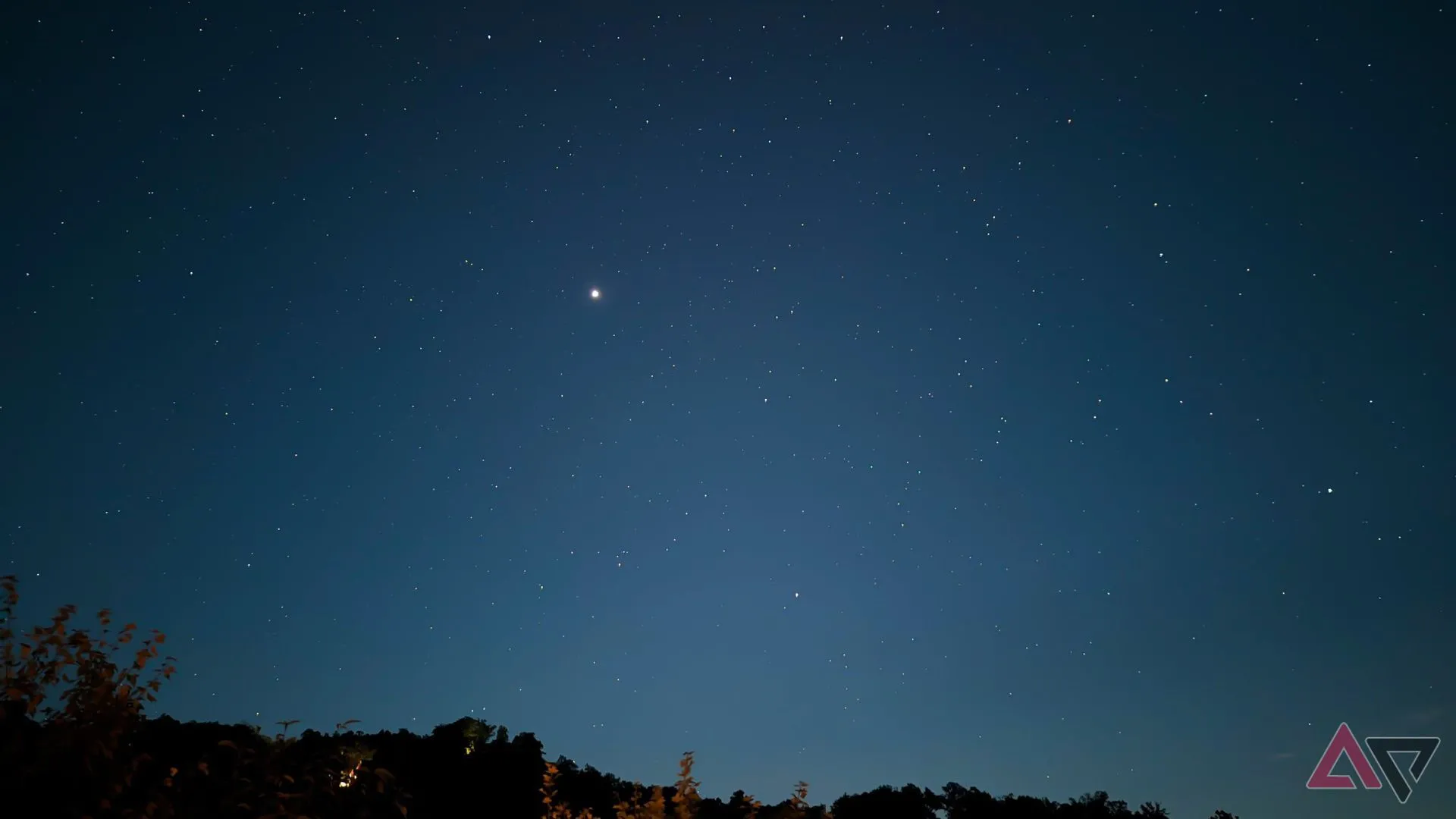Ảnh chụp bầu trời đêm đầy sao với hàng cây ở phía dưới bằng chế độ Astrophotography của Pixel
