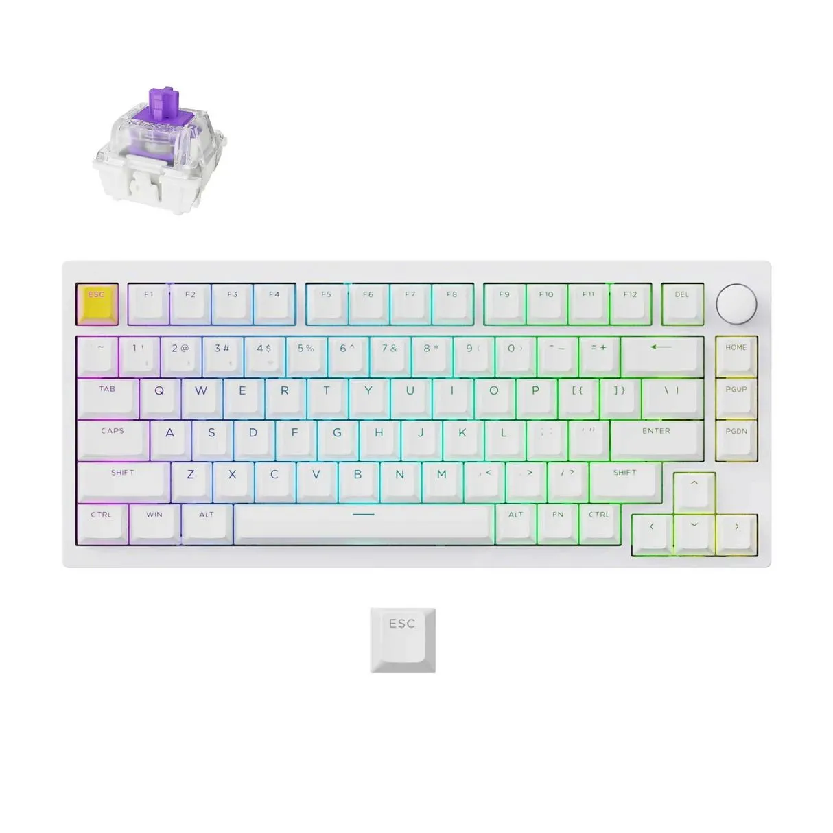 Bàn phím cơ không dây Lemokey P1 HE màu trắng, nhìn thẳng từ trên xuống, hiển thị bố cục phím Tenkeyless.
