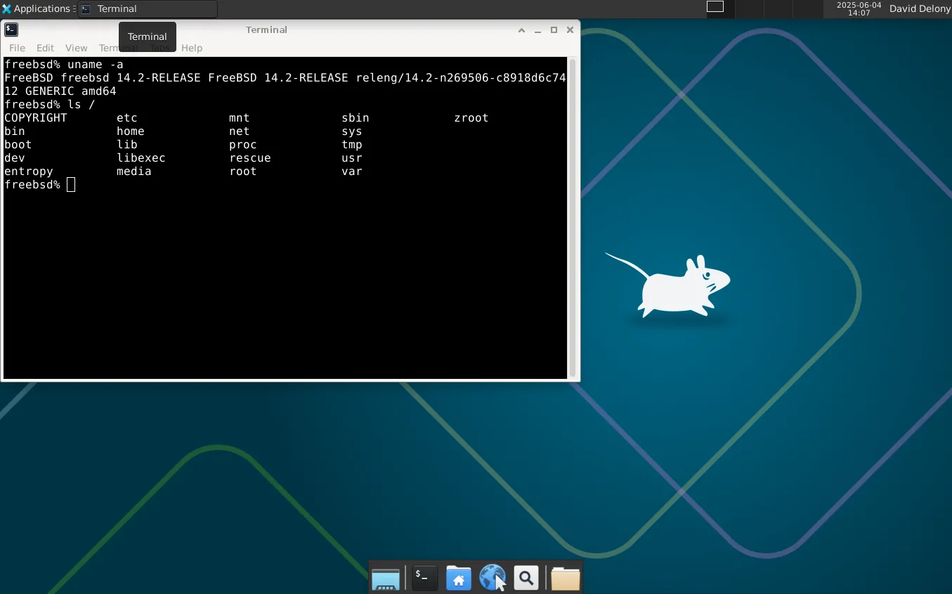 Giao diện desktop Xfce của FreeBSD với cửa sổ terminal đang mở