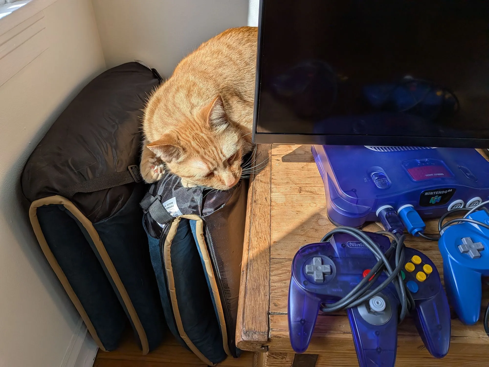 Một chú mèo màu cam đang rình rập máy chơi game Nintendo 64