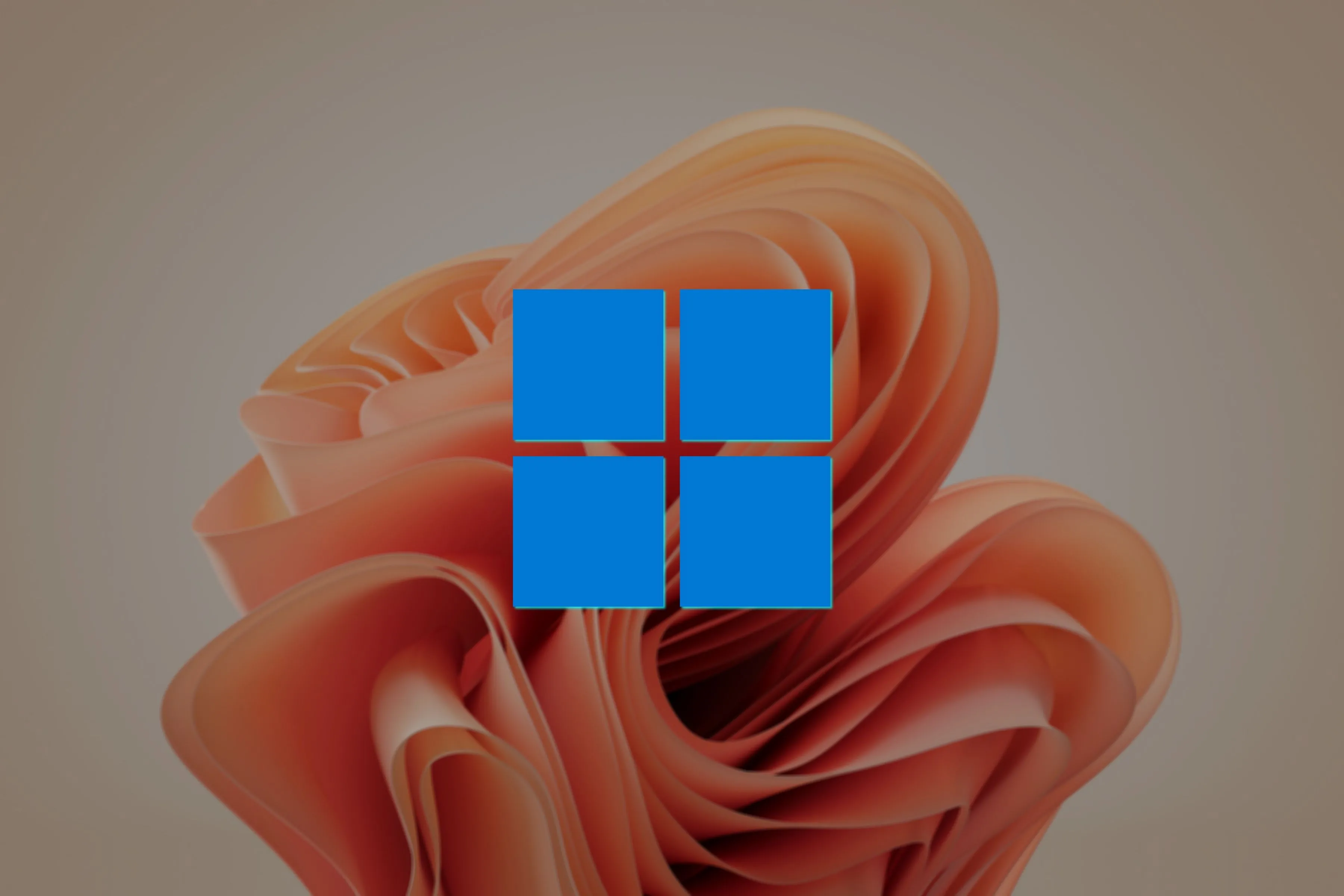 Biểu tượng Windows 11 trên nền Bloom Wallpaper tượng trưng cho việc lựa chọn phiên bản Windows