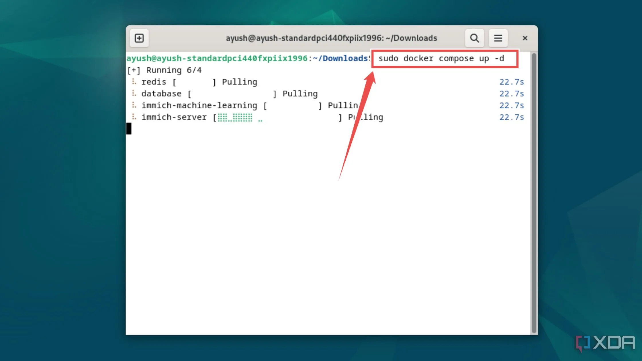 Chạy lệnh docker compose up -d để triển khai container Immich trên server của bạn