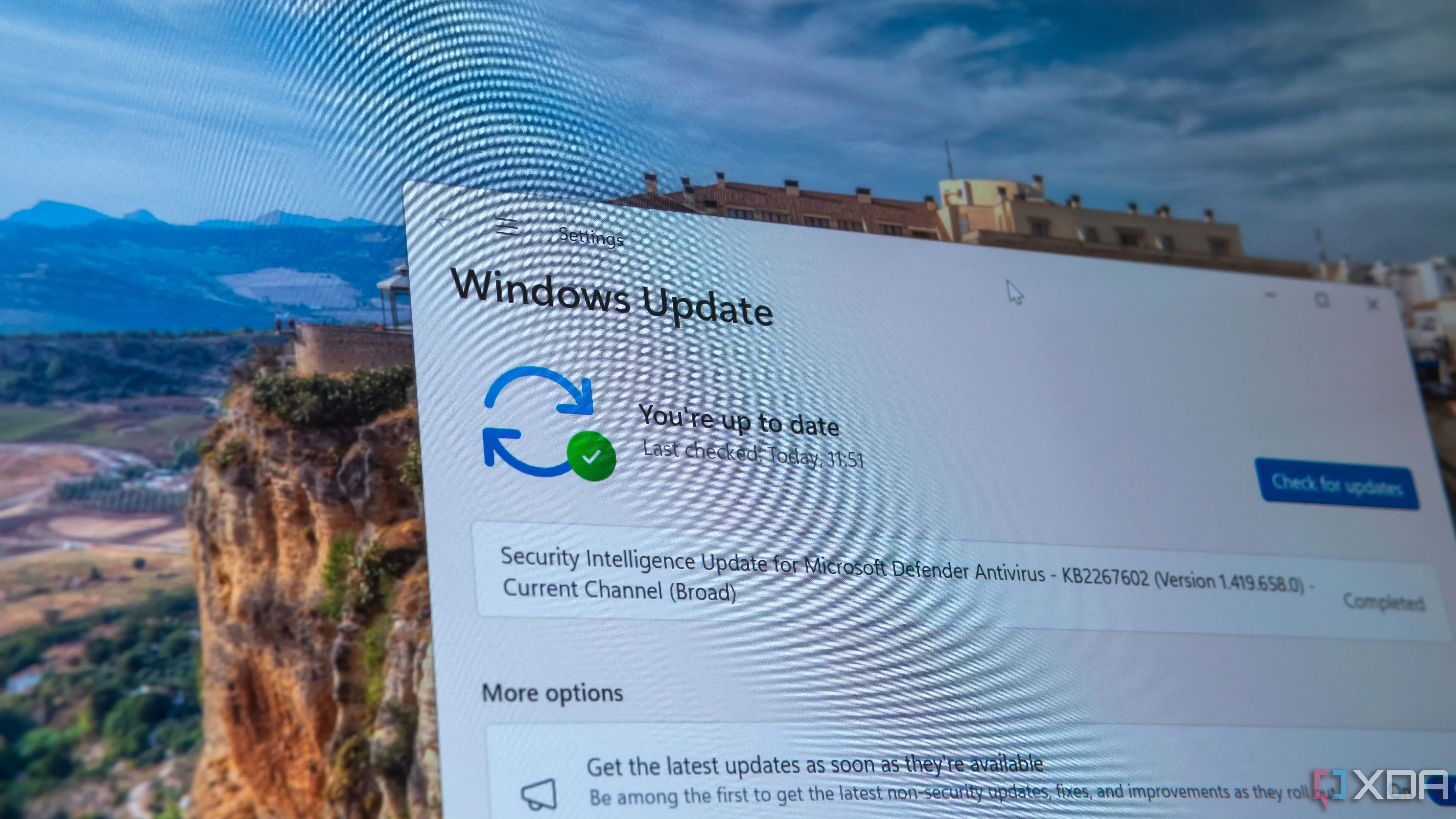 Giao diện Windows Update trên Windows 11