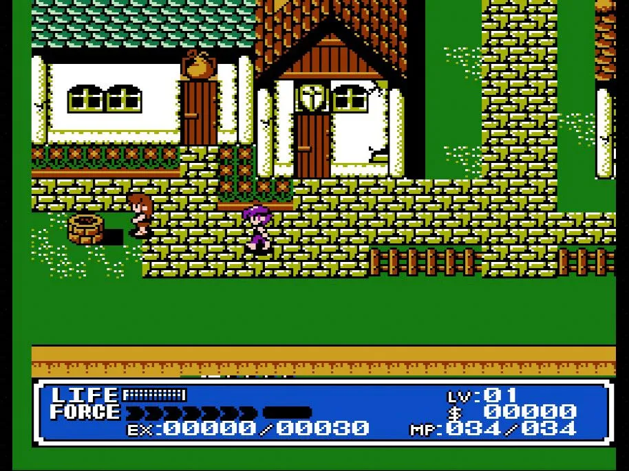 Hình ảnh gameplay của Crystalis trên NES, một tựa game nhập vai hành động kinh điển