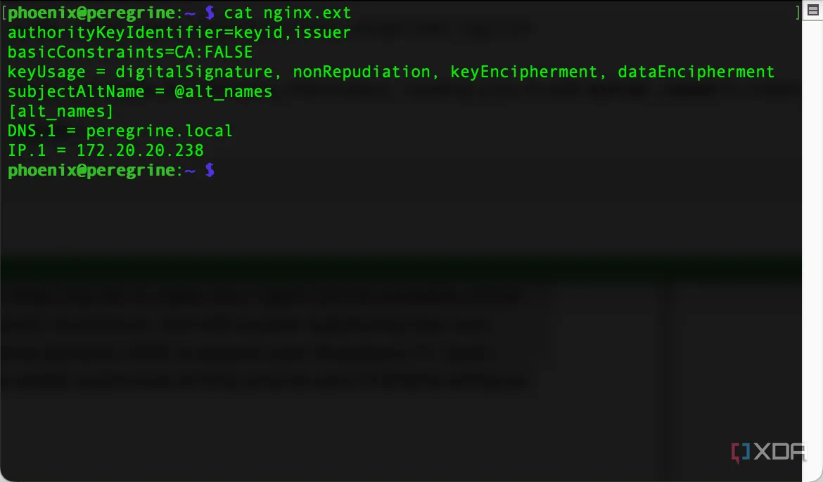 Kiểm tra nội dung tệp cấu hình chứng chỉ nginx.ext bằng lệnh cat trong Terminal