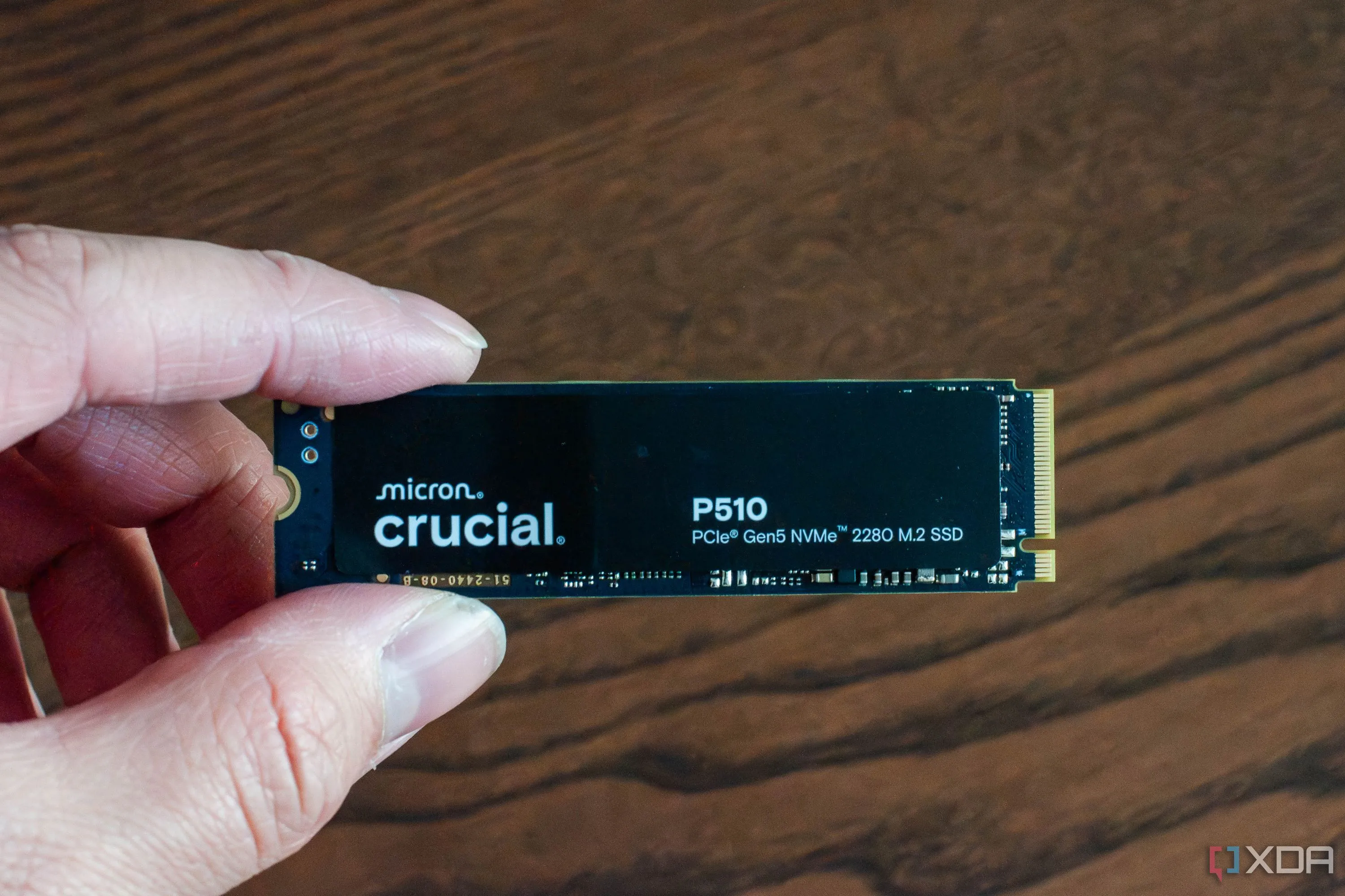 Người dùng cầm trên tay ổ cứng SSD Crucial P510 PCIe Gen 5 thể hiện kích thước nhỏ gọn của SSD M.2 NVMe