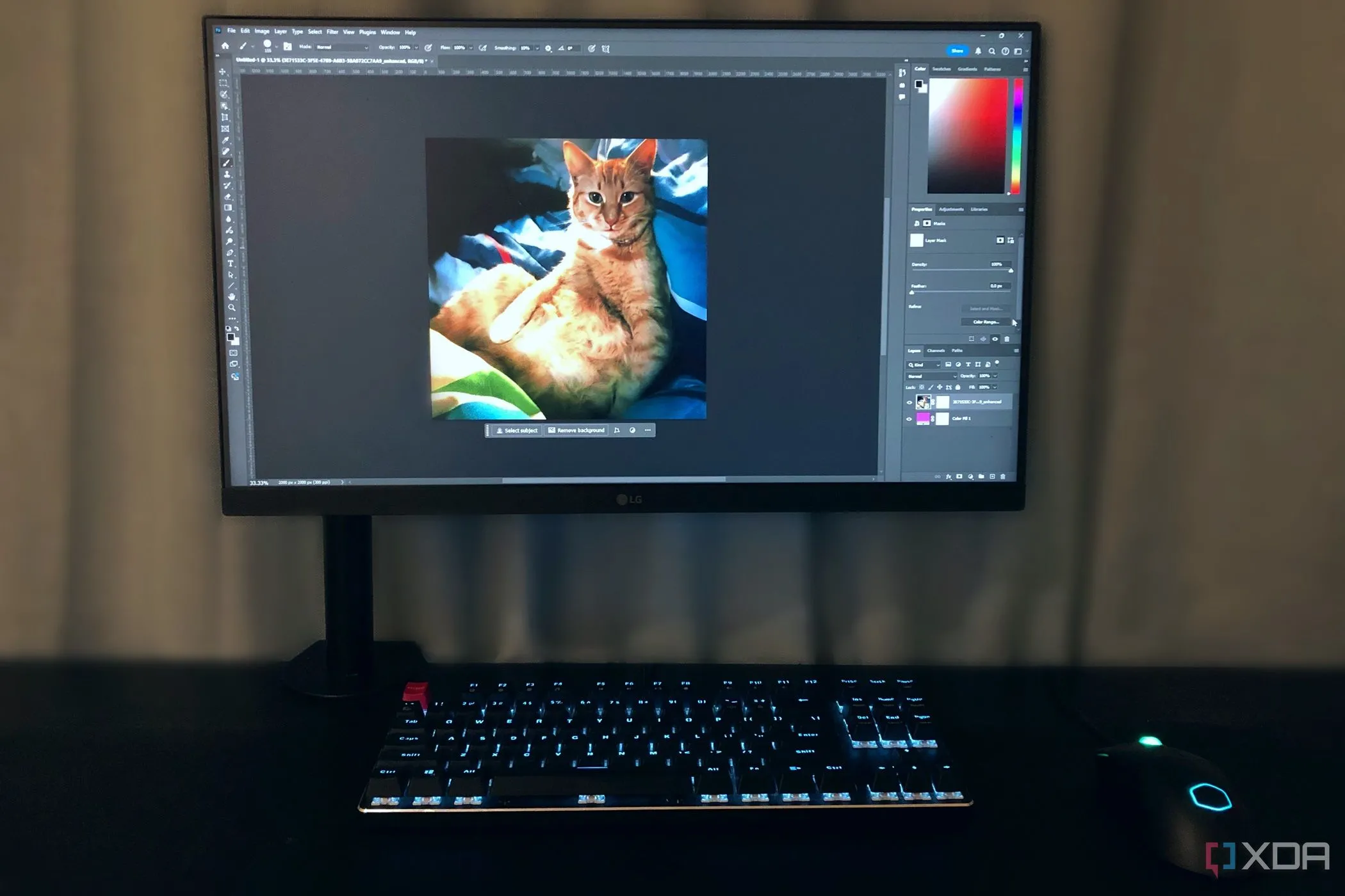 Người dùng đang chỉnh sửa ảnh mèo ginger bằng công cụ mask trong Photoshop trên máy tính để bàn