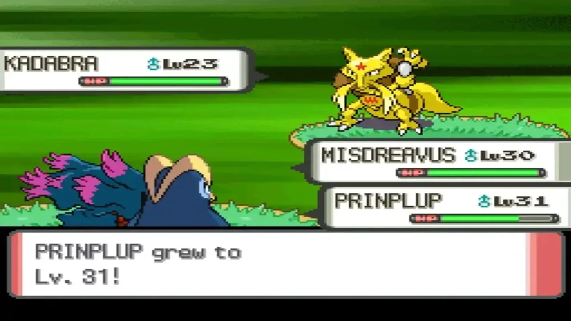 Trận đấu đôi trong Pokémon Pearl
