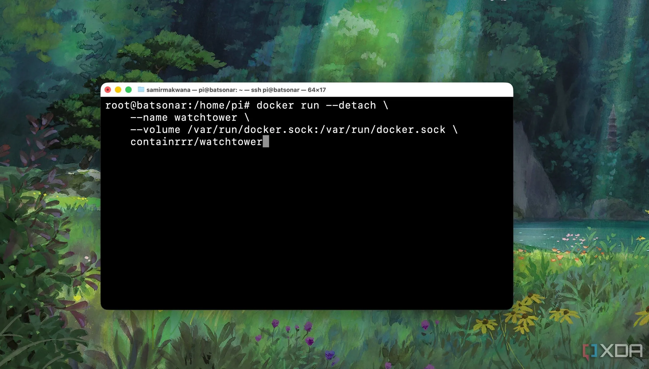 Ví dụ lệnh Docker run trên Terminal khi triển khai container