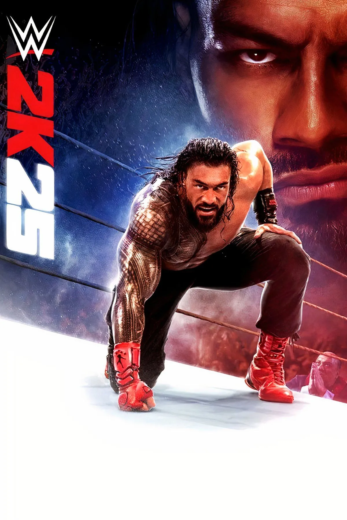 Ảnh bìa của WWE 2K25, một trong những tựa game thể thao hàng năm đóng góp doanh thu lớn cho Take-Two.