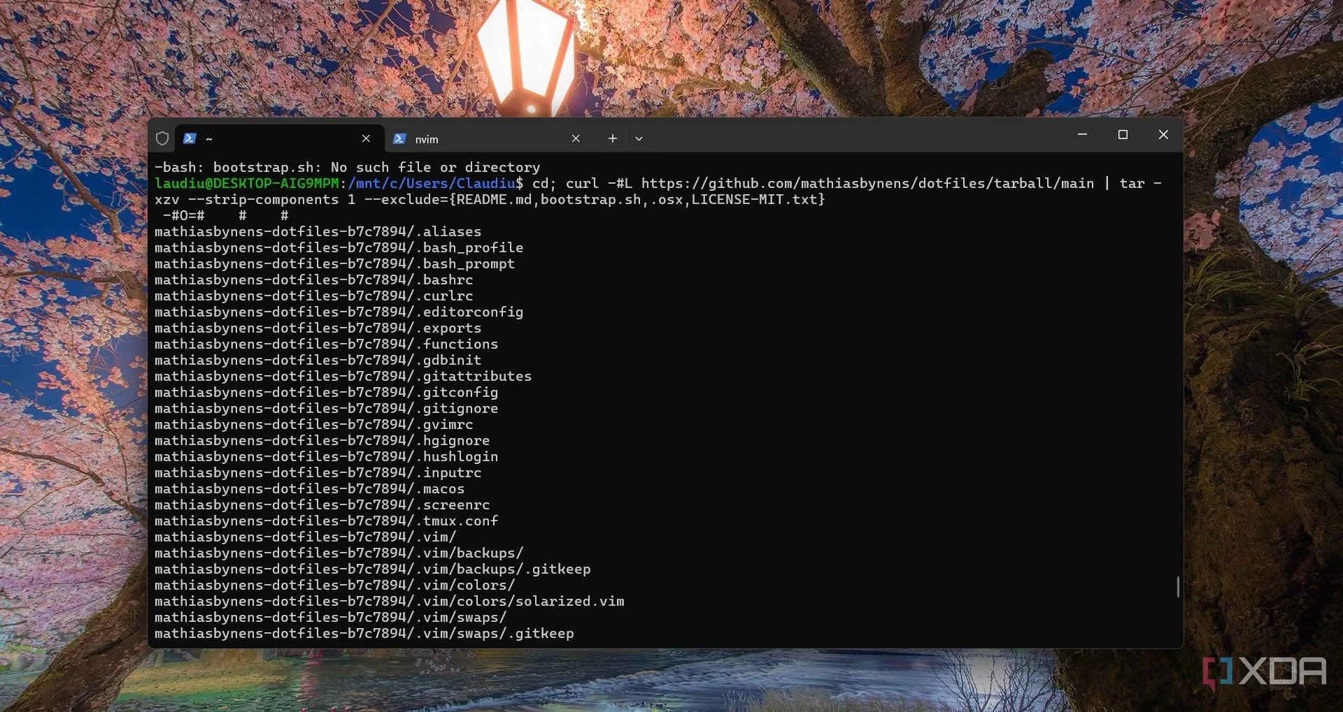 Cài đặt kho dotfiles từ GitHub bằng WSL, minh họa khả năng kiểm soát và tùy biến sâu hệ thống