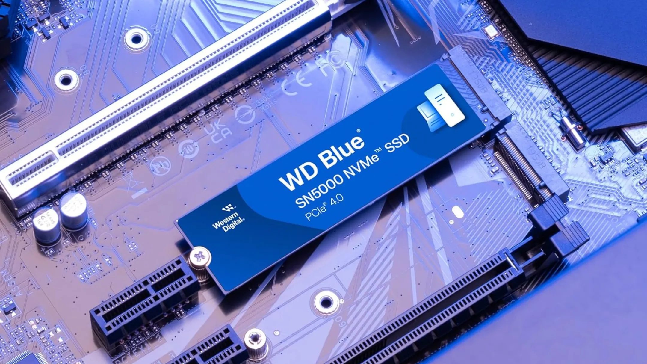 Cận cảnh ổ cứng SSD WD Blue SN5000 4TB M.2 NVMe với thiết kế nhỏ gọn