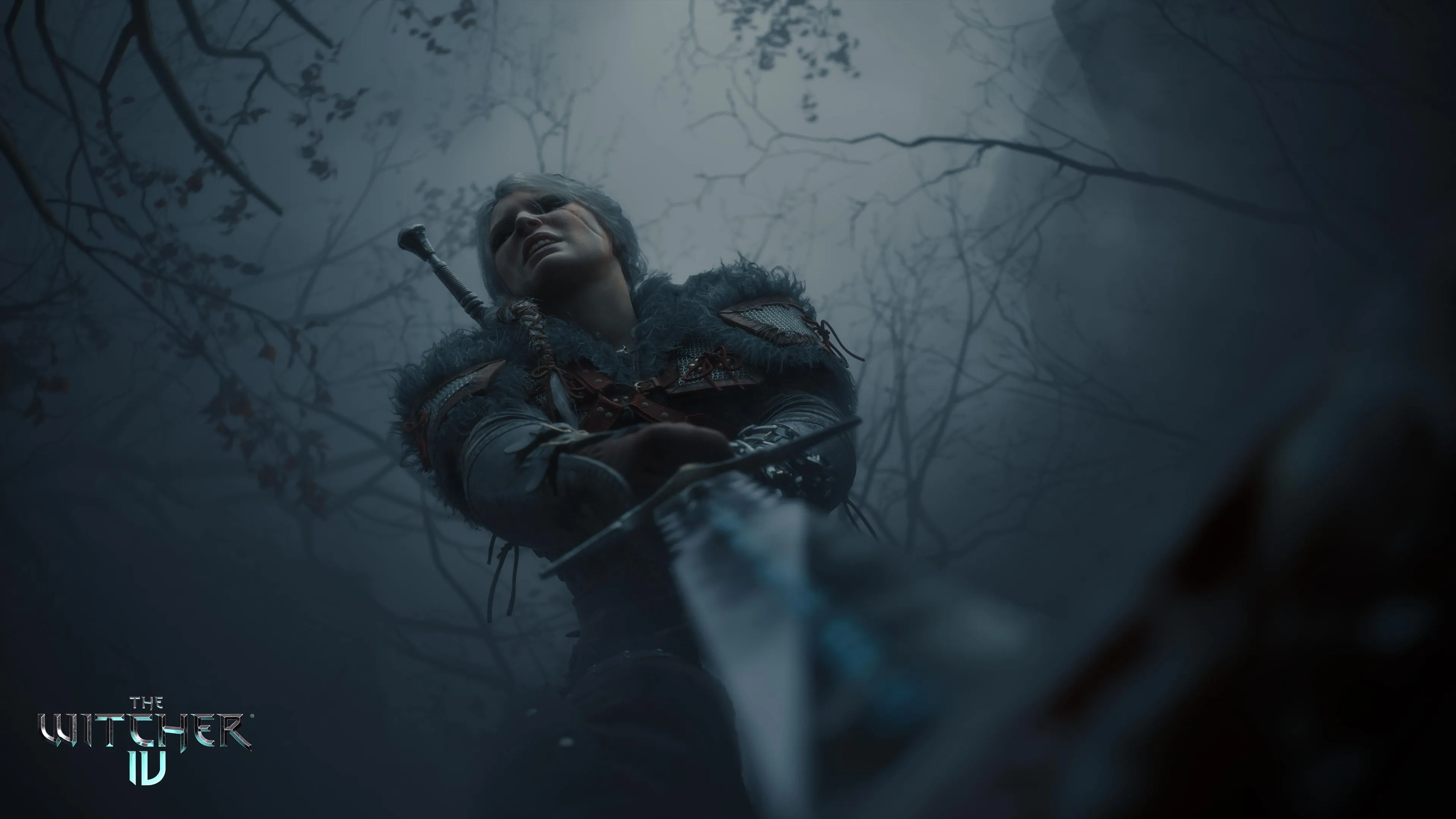 Cảnh quan u ám trong The Witcher, có thể liên quan đến lời nguyền Mặt Trời Đen và quá khứ của Ciri