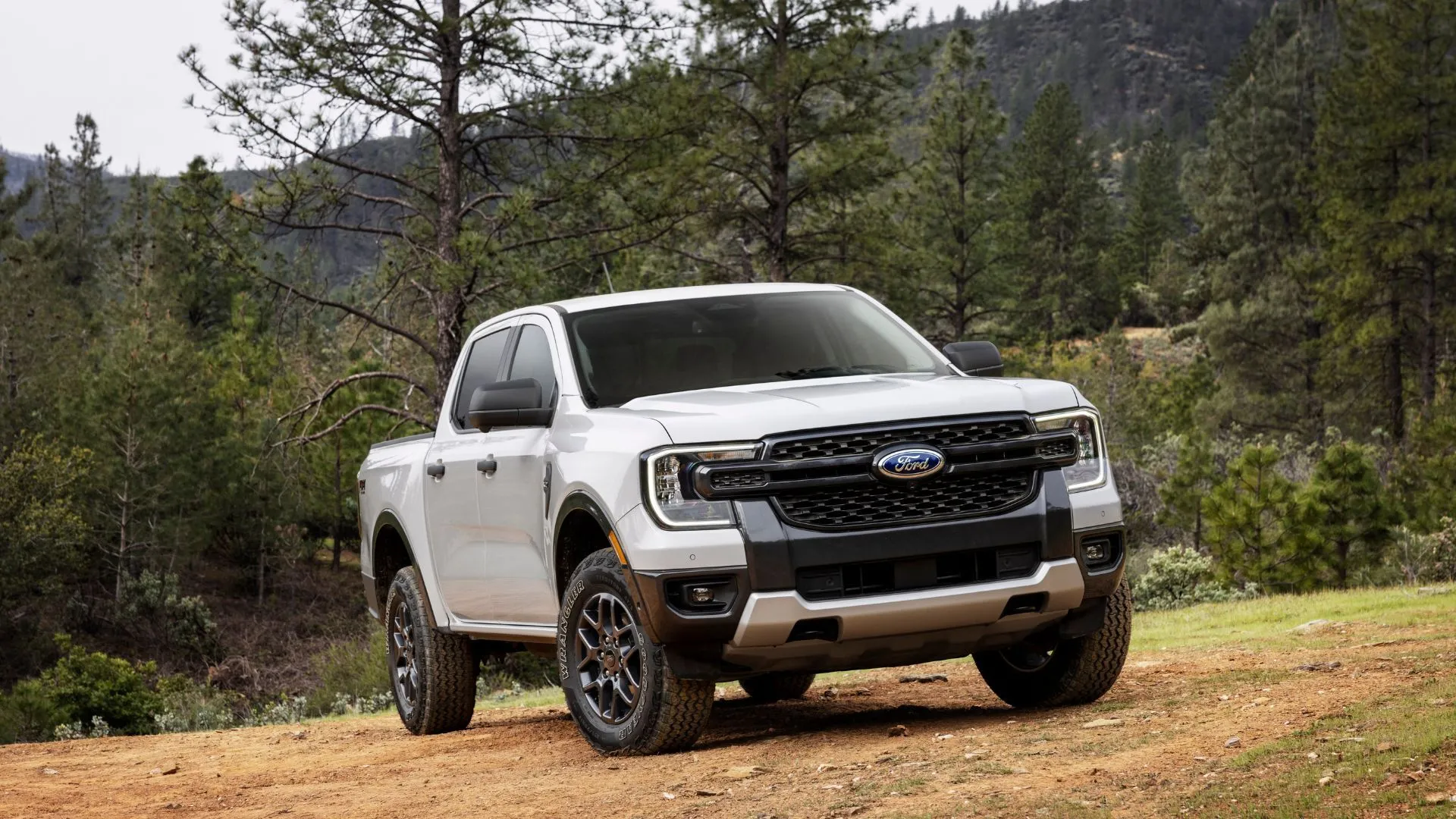 Chiếc Ford Ranger XLT Sport 2024 màu trắng đậu trên bãi cỏ với cây cối phía sau