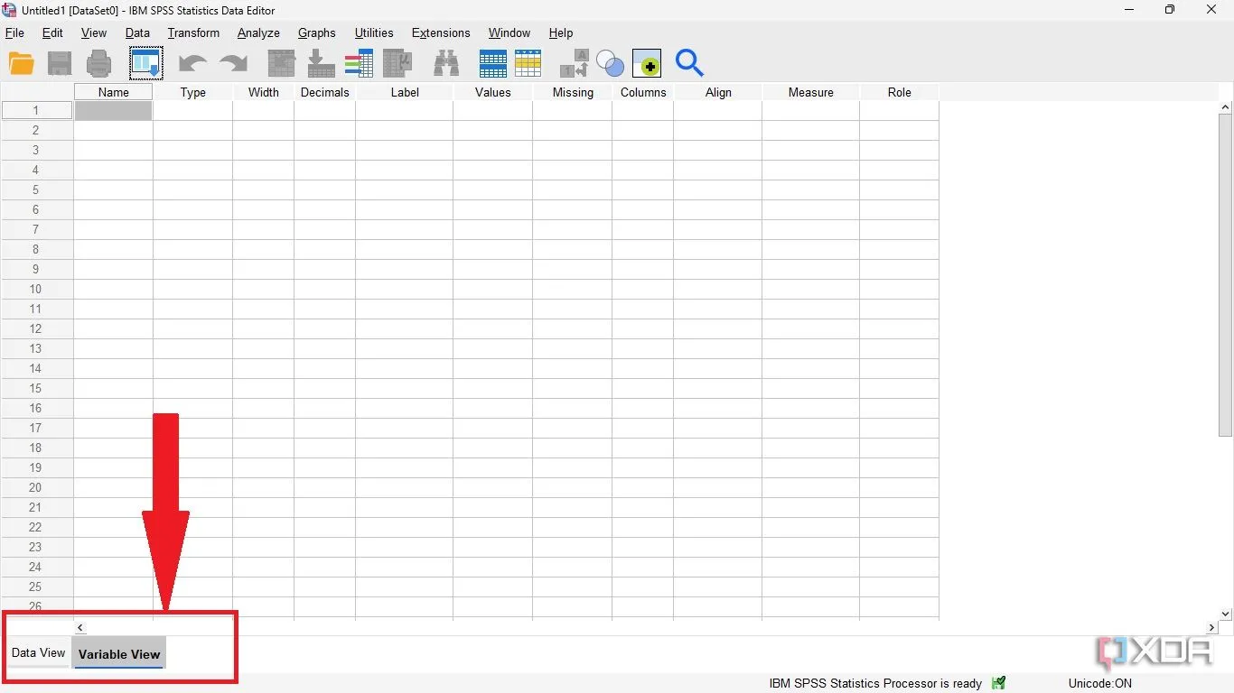 Giao diện chính SPSS với các tab Data View và Variable View hiển thị rõ ràng