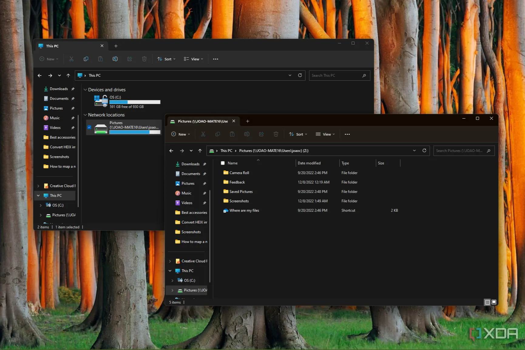 Giao diện File Explorer trên Windows hiển thị ổ đĩa mạng đã được ánh xạ thành công
