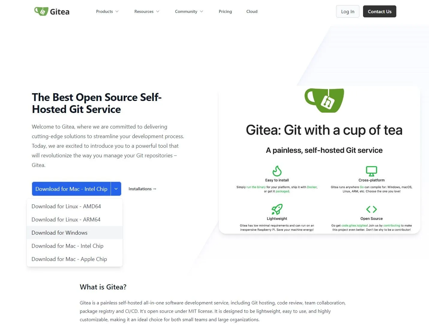 Giao diện website Gitea khi truy cập lần đầu