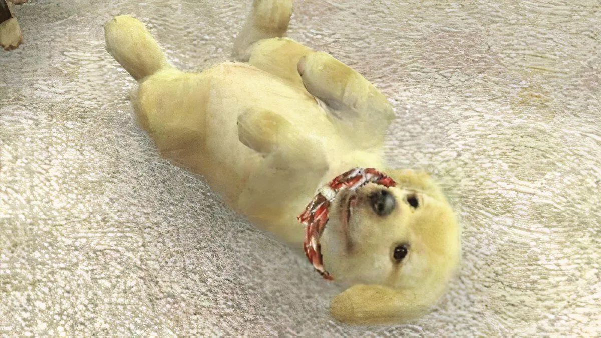 Hình ảnh chú chó Golden Retriever trong game Nintendogs