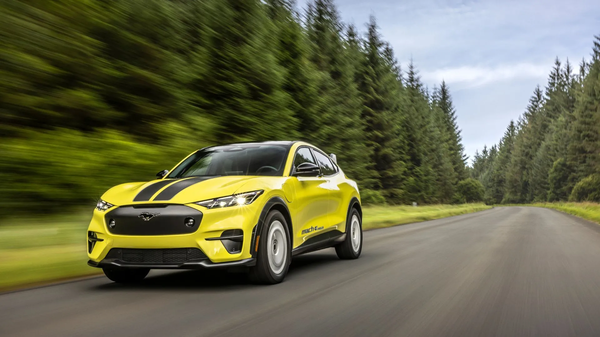 Hình ảnh xe Ford Mustang Mach-E Rally màu vàng đang chạy trên đường sỏi đá xuyên rừng.