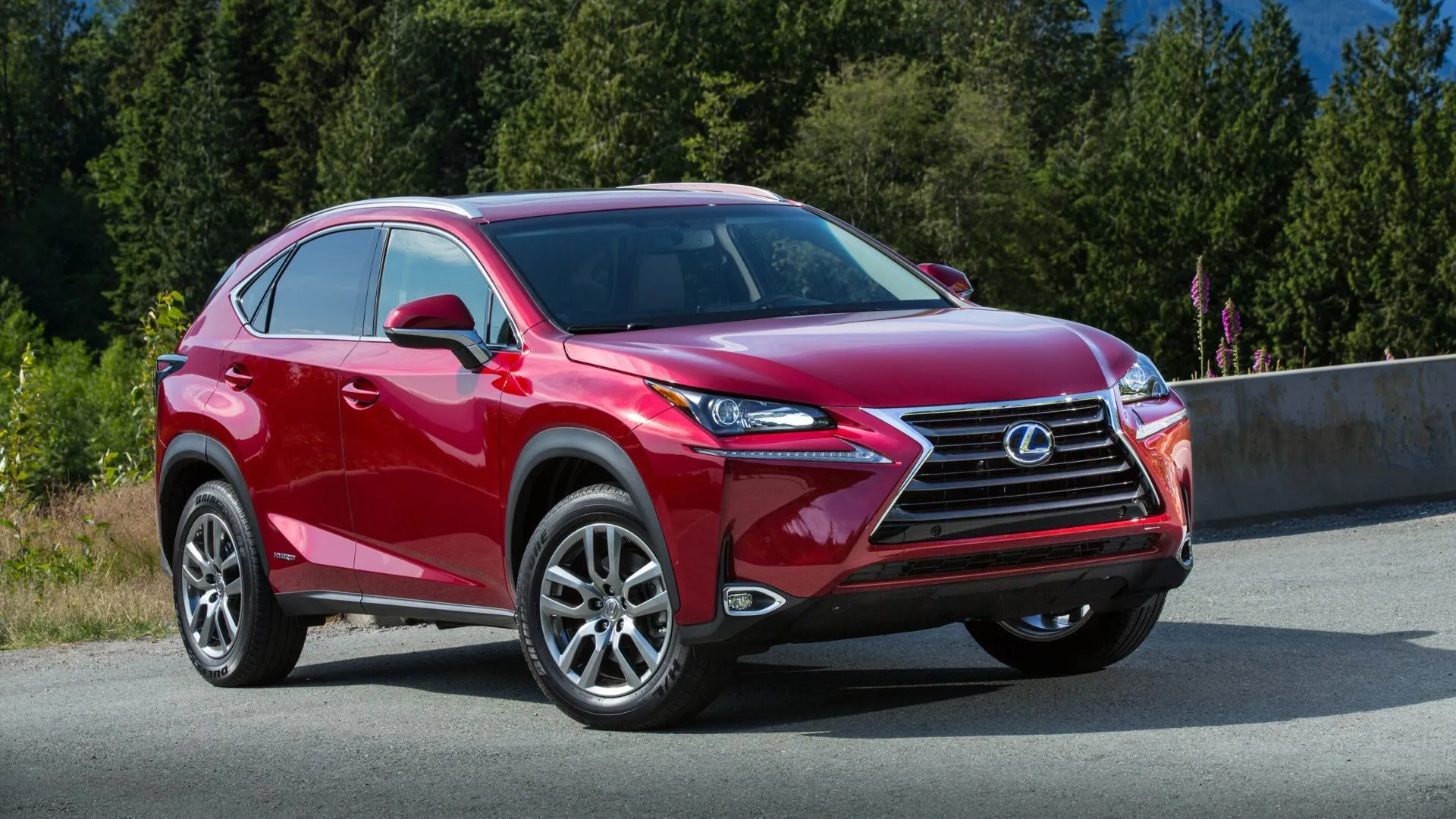 Lexus NX 300h 2019 màu đỏ đậu trên đường nhựa với rừng cây phía sau.