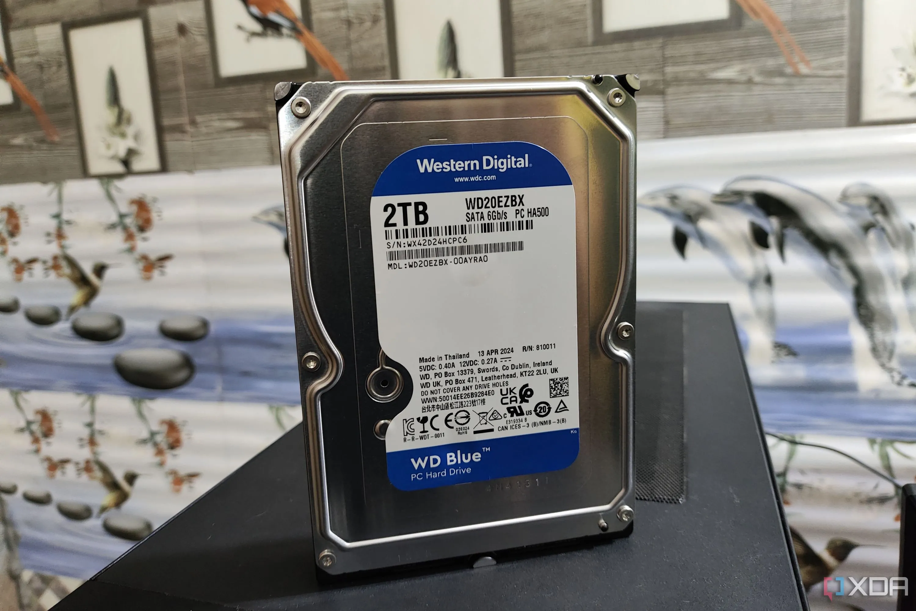 Ổ cứng HDD WD Blue trên máy tính
