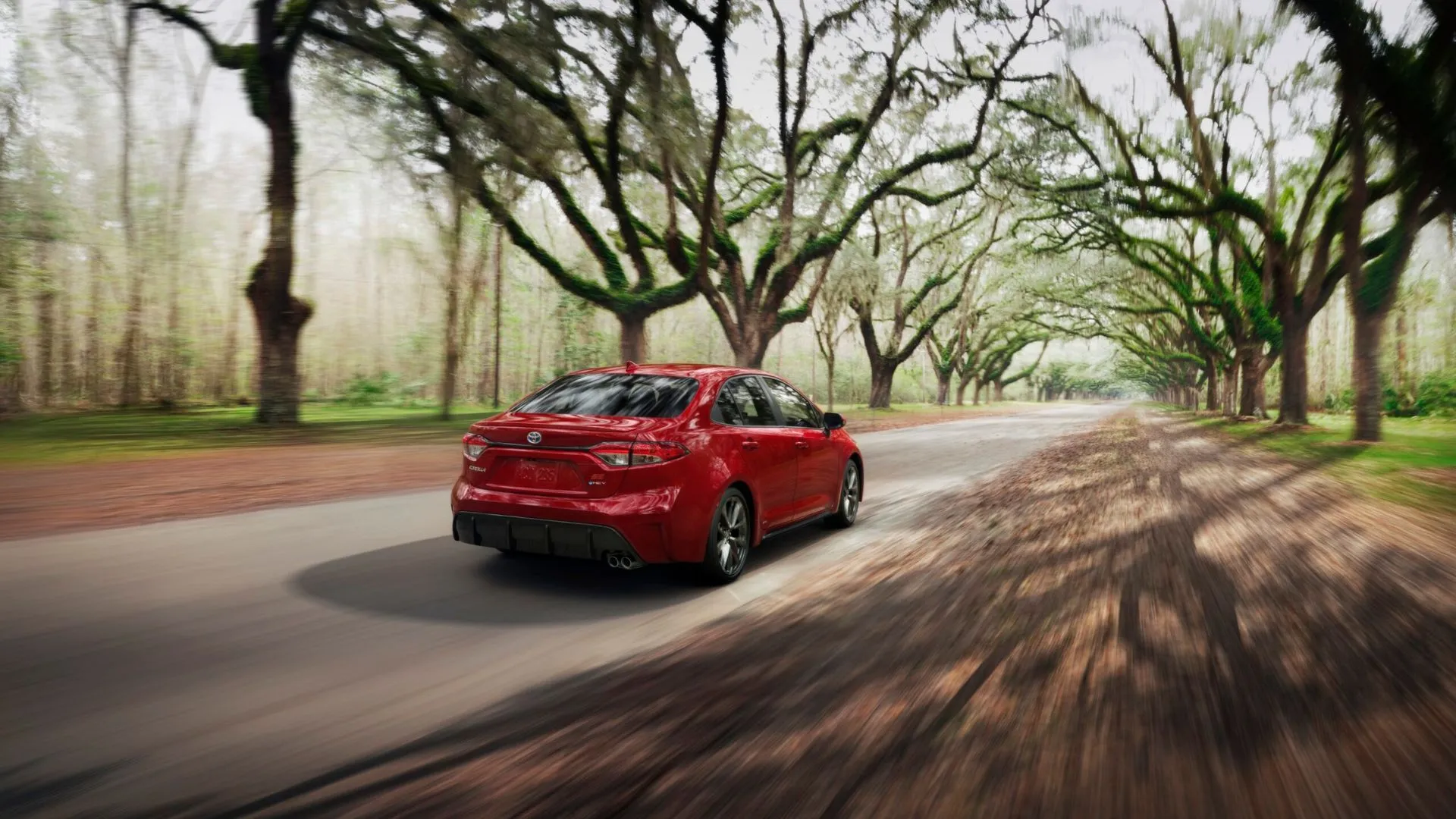 Phía sau xe Toyota Corolla Hybrid 2025 màu đỏ lướt trên đường làng, thể hiện sự ổn định và khả năng giữ giá xe Corolla Hybrid bền bỉ qua thời gian.