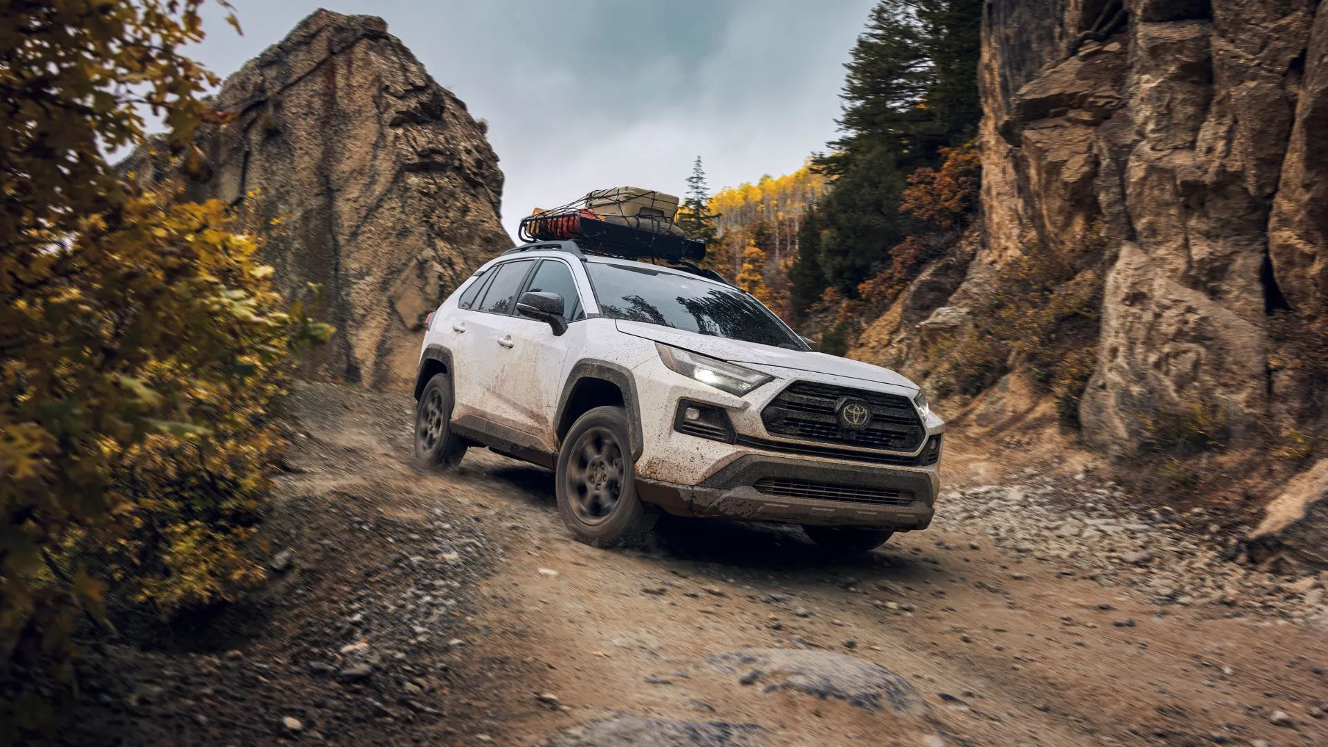 Toyota RAV4 Hybrid 2024 màu trắng đang vận hành off-road, minh họa khả năng thích ứng địa hình và hiệu suất mạnh mẽ của động cơ hybrid.
