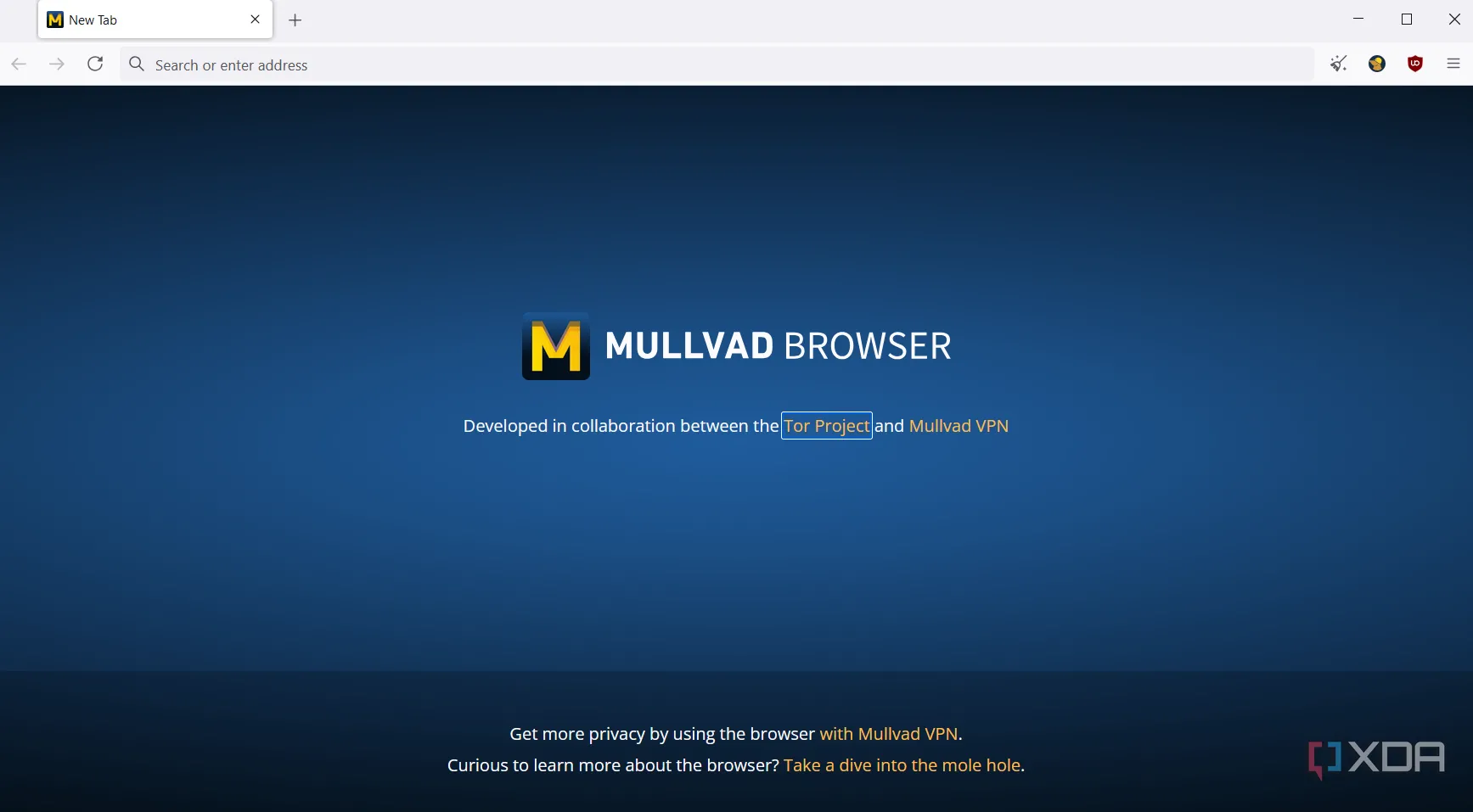 Trang chủ mặc định của Mullvad Browser, thể hiện cam kết bảo vệ quyền riêng tư người dùng ngay từ đầu.